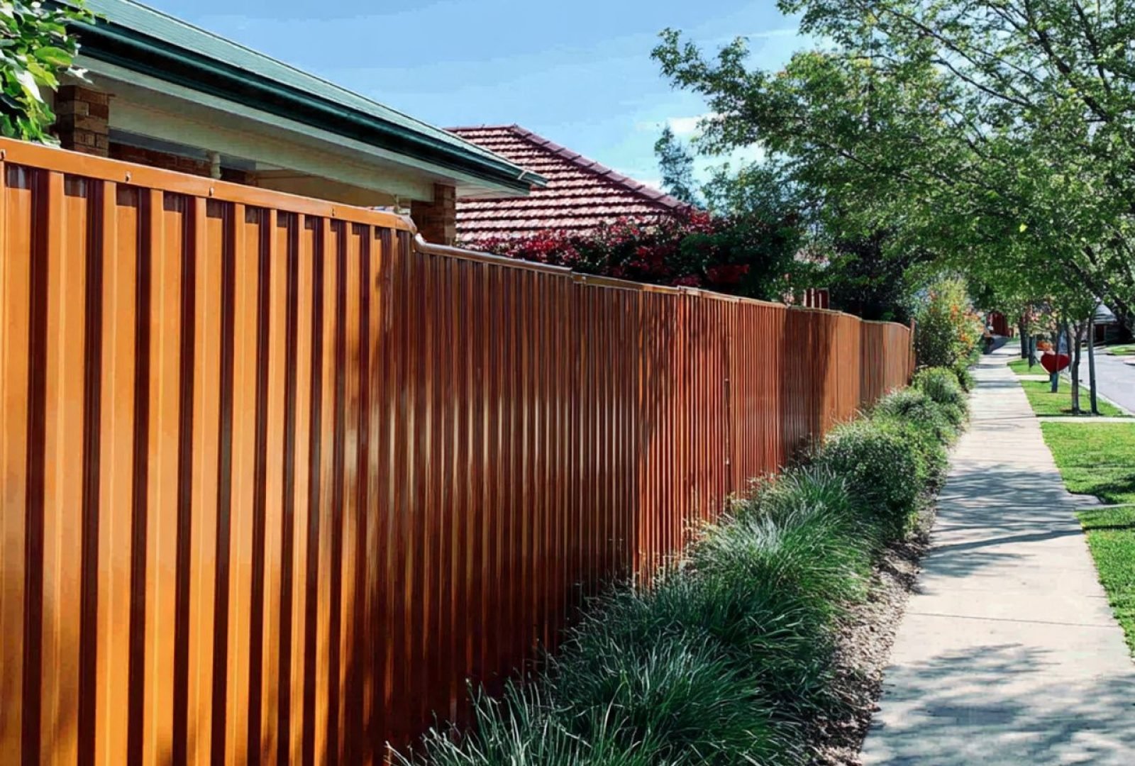 WhatsApp Image 2026-02-08 at 6.50.50 AM